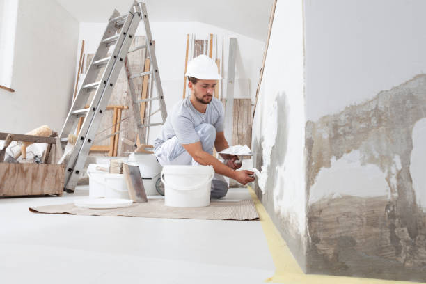 Best Asbestos and Lead Testing During Mold Inspection  in Hico, TX