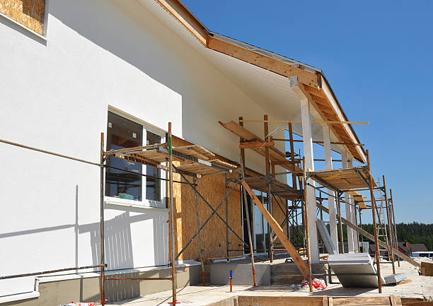 Trusted Hico, TX Mold Removal Experts
